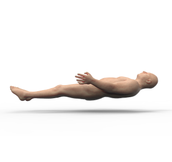 Whole Body Simulator