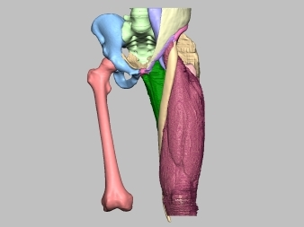 Simulation Models